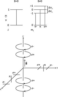 Review of Zeeman Effect Observations of Regions of Star Formation